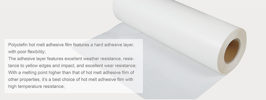 產(chǎn)品中心-熱熔膠膜系列-14.jpg